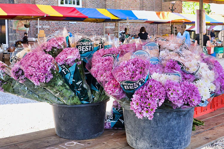 Rommelmarkt 2022 Waarder_040